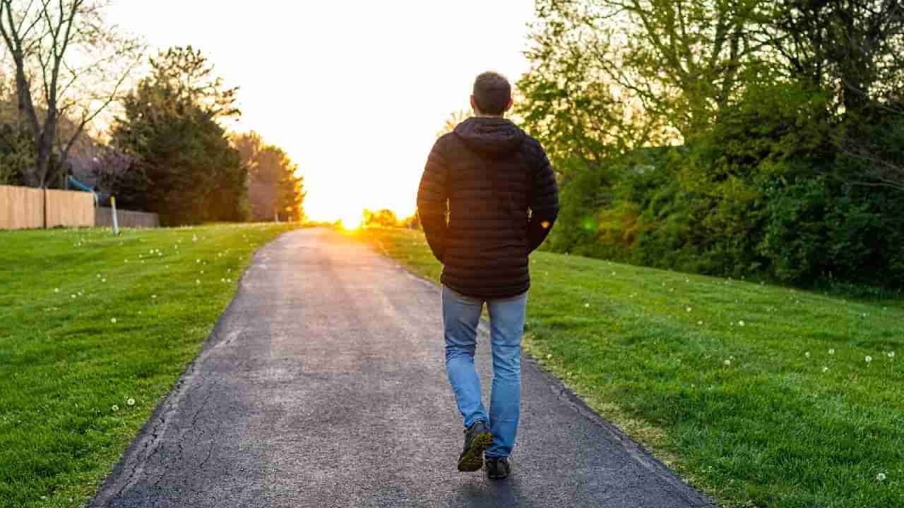 Health Tips: ಬೆಳಗಿನ ನಡಿಗೆ ಅಥವಾ ಊಟದ ನಂತರದ ನಡಿಗೆ ಯಾವುದು ಉತ್ತಮ?