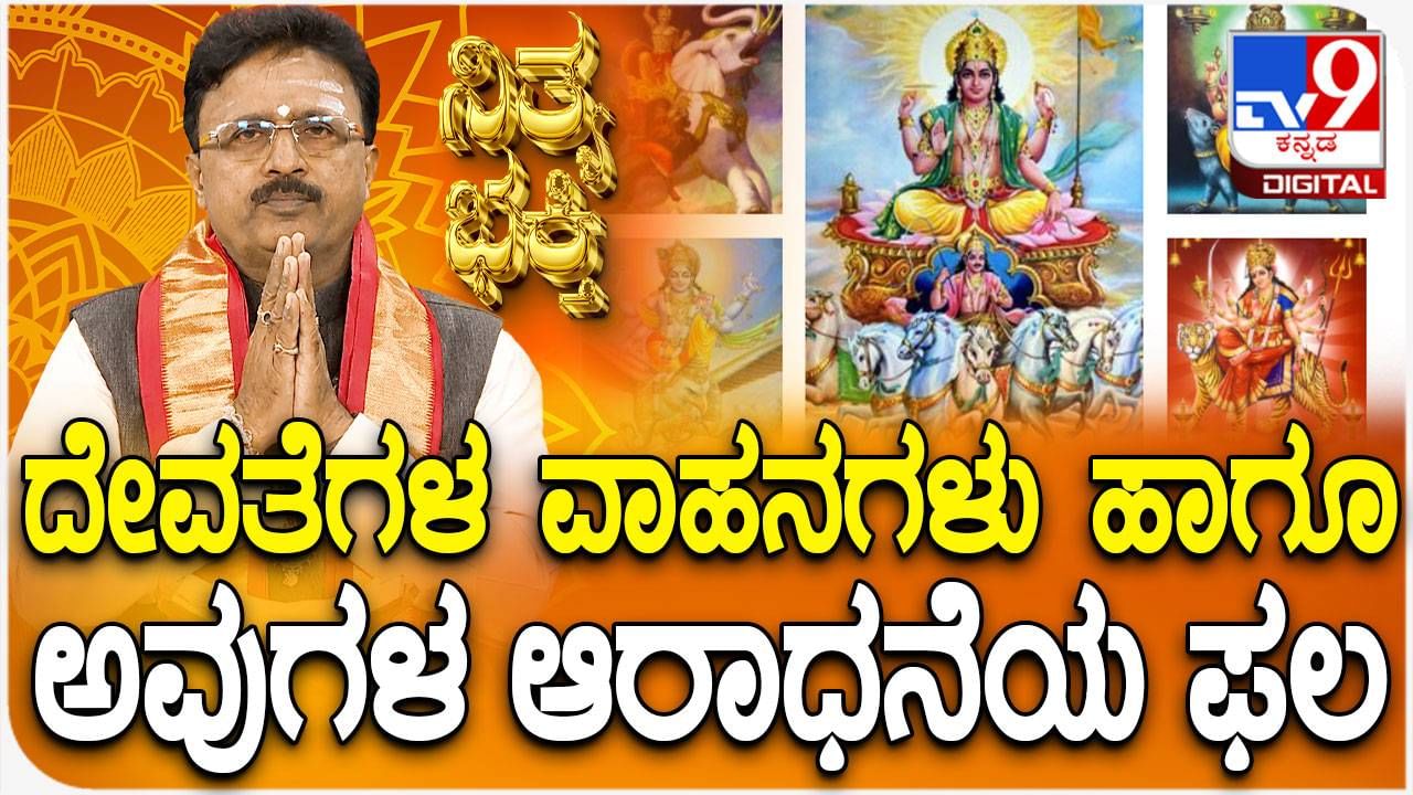 Daily Devotional: ದೇವತೆಗಳ ವಾಹನಗಳು ಹಾಗೂ ಅವುಗಳ ಆರಾಧನೆಯ ಫಲ ತಿಳಿಯಿರಿ