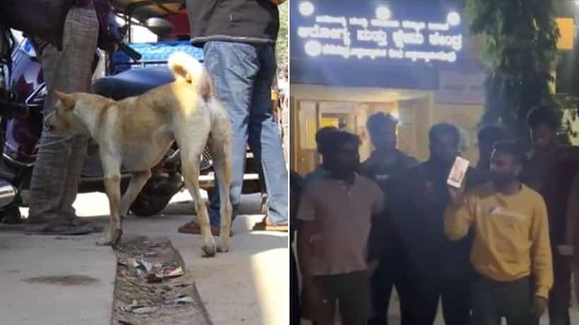 ಚಿಕ್ಕಬಳ್ಳಾಪುರ ಮೆಡಿಕಲ್ ಕಾಲೇಜು ಆಸ್ಪತ್ರೆಗೆ ನುಗ್ಗಿದ ಹುಚ್ಚುನಾಯಿ, ಸಿಕ್ಕಸಿಕ್ಕವರ ಮೇಲೆ ದಾಳಿ