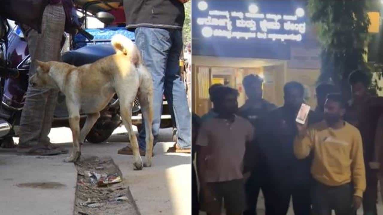 ಚಿಕ್ಕಬಳ್ಳಾಪುರ ಮೆಡಿಕಲ್ ಕಾಲೇಜು ಆಸ್ಪತ್ರೆಗೆ ನುಗ್ಗಿದ ಹುಚ್ಚುನಾಯಿ, ಸಿಕ್ಕಸಿಕ್ಕವರ ಮೇಲೆ ದಾಳಿ