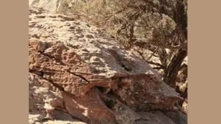 Viral: ಆರತಕ್ಷತೆ ದಿನವೇ ಸಿನಿಮೀಯ ಶೈಲಿಯಲ್ಲಿ ಪ್ರಿಯಕರನ ಜೊತೆ ಓಡಿ ಹೋದ ವಧು