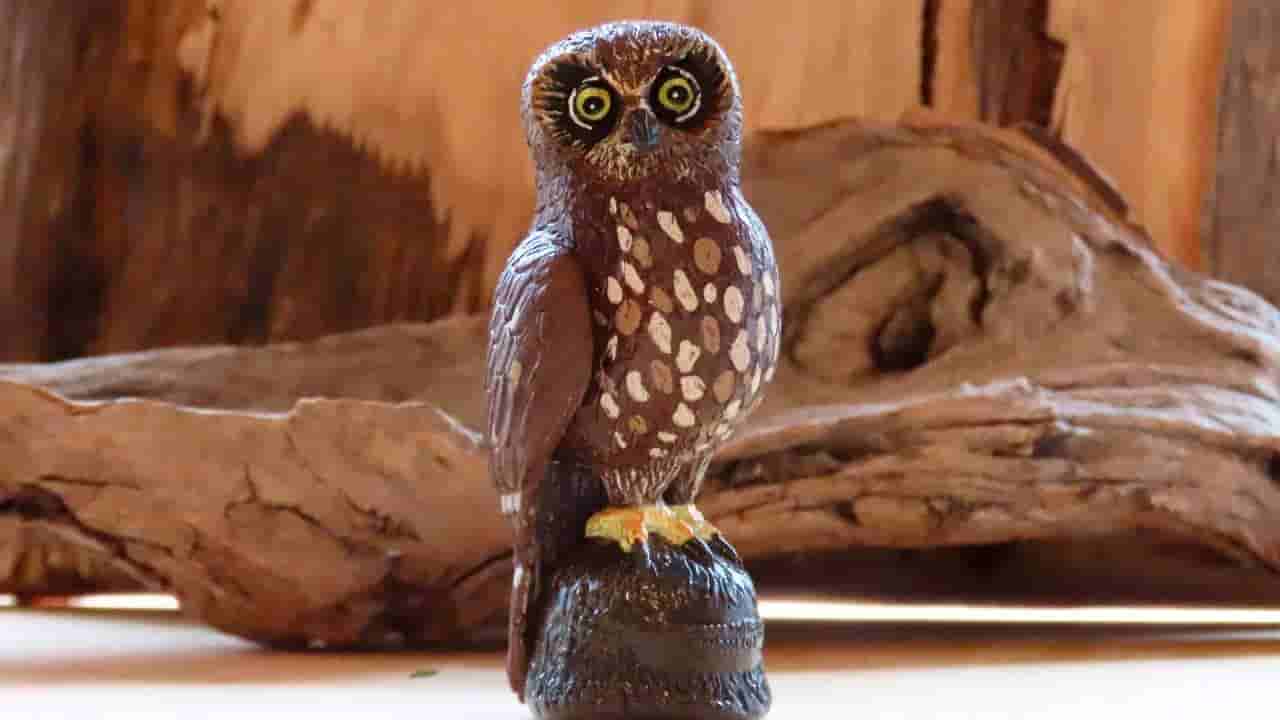 ಮನೆಯಲ್ಲಿ ಗೂಬೆಯ ಪ್ರತಿಮೆ ಇಡಬಹುದೇ? ಇಡುವುದಾದರೆ ಈ ವಿಚಾರ ಗಮನಿಸಿ, ಇಲ್ಲದಿದ್ದರೆ ಸಮಸ್ಯೆಯಾದೀತು