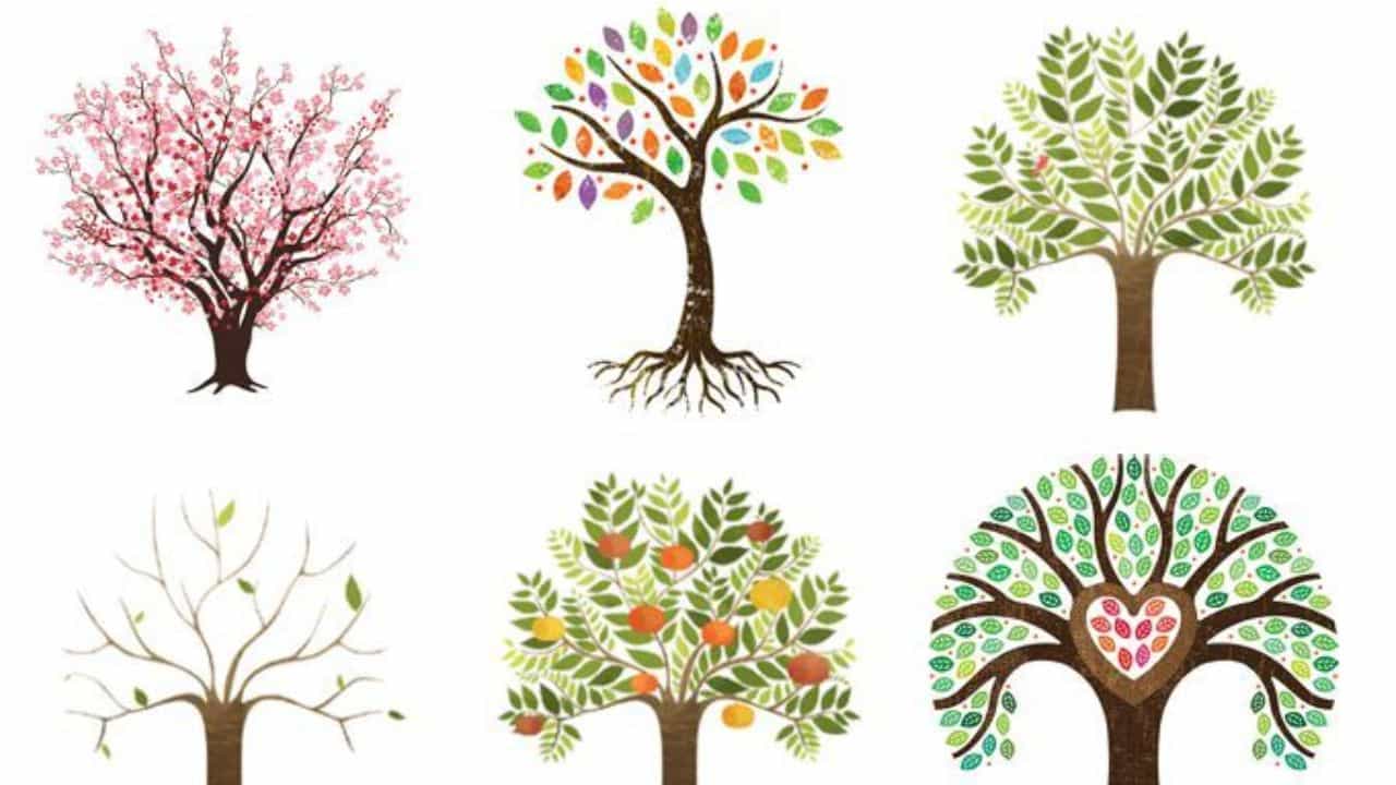 Personality Test : ಈ ಚಿತ್ರದಲ್ಲಿ ನಿಮ್ಮ ಆಯ್ಕೆಯ ಮರ ಯಾವುದು? ಇದುವೇ ರಿವೀಲ್ ಮಾಡುತ್ತೆ ನಿಮ್ಮ ವ್ಯಕ್ತಿತ್ವ Personality Test : ಈ ಚಿತ್ರದಲ್ಲಿ ನಿಮ್ಮ ಆಯ್ಕೆಯ ಮರ ಯಾವುದು? ಇದುವೇ ರಿವೀಲ್ ಮಾಡುತ್ತೆ ನಿಮ್ಮ ವ್ಯಕ್ತಿತ್ವ