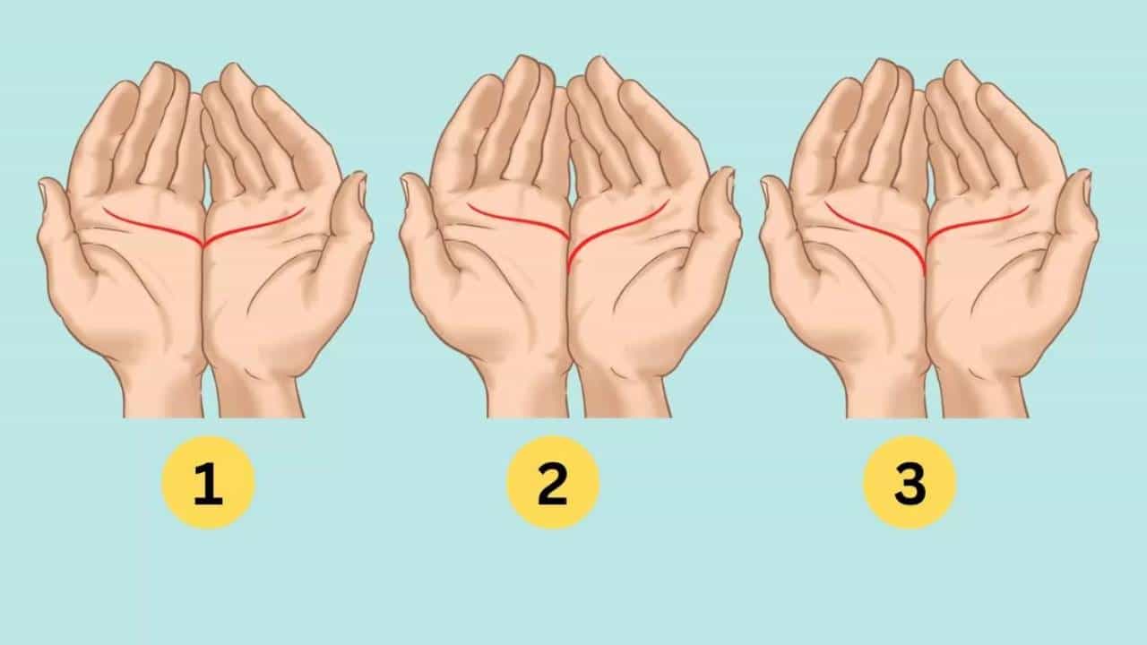 Personality Test : ನಿಮ್ಮ ಅಂಗೈಯಲ್ಲಿನ ಈ ರೇಖೆಯ ಆಕಾರವೇ ಹೇಳುತ್ತೆ ನಿಮ್ಮ ವ್ಯಕ್ತಿತ್ವ