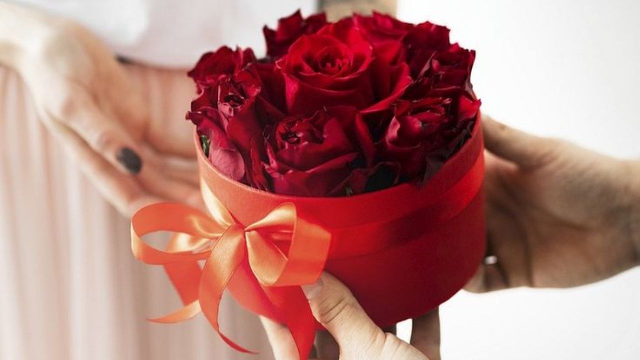 Rose Day 2025 Date: ರೋಸ್ ಡೇ ವಿಶೇಷತೆ ಏನು? ಇತಿಹಾಸ, ಮಹತ್ವವನ್ನು ತಿಳಿದುಕೊಳ್ಳಿ Rose Day 2025 Date: ರೋಸ್ ಡೇ ವಿಶೇಷತೆ ಏನು? ಇತಿಹಾಸ, ಮಹತ್ವವನ್ನು ತಿಳಿದುಕೊಳ್ಳಿ