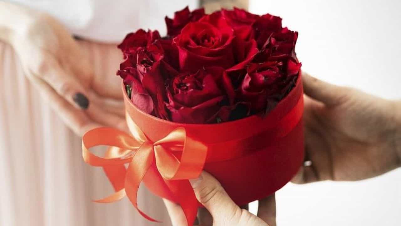 Rose Day 2025 Date: ರೋಸ್ ಡೇ ವಿಶೇಷತೆ ಏನು? ಇತಿಹಾಸ, ಮಹತ್ವವನ್ನು ತಿಳಿದುಕೊಳ್ಳಿ Rose Day 2025 Date: ರೋಸ್ ಡೇ ವಿಶೇಷತೆ ಏನು? ಇತಿಹಾಸ, ಮಹತ್ವವನ್ನು ತಿಳಿದುಕೊಳ್ಳಿ