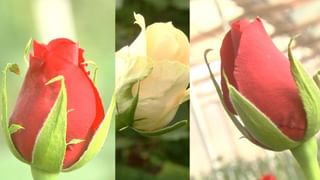 ಚೀನಾ, ರಷ್ಯಾದ ಸ್ಟೀಲ್ತ್ ಫೈಟರ್​ಗಳಿಗೆ ಹೋಲಿಸಿದರೆ ಅಮೆರಿಕದ ಎಫ್-35 ಹೇಗಿದೆ? ಇಲ್ಲಿದೆ ಹೋಲಿಕೆ