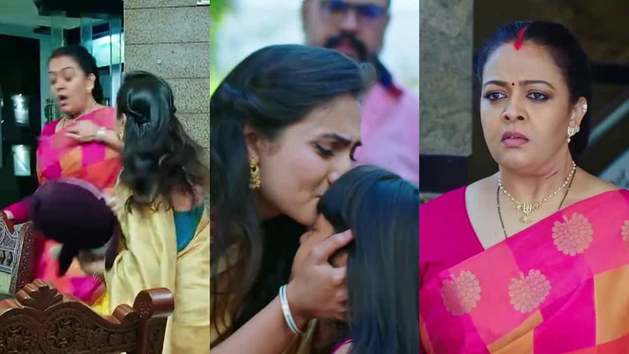 ಭಾರ್ಗವಿ ಕತ್ತಿಗೆ ಚಾಕು ಇಡುತ್ತಿದ್ದಂತೆ ಸೀತಾ ಬಾಳಲ್ಲಿ ಮತ್ತೆ ಬಂದ ಸಿಹಿ: ಕಳ್ಳರಿಗೆ ಇದೆ ಮಾರಿಹಬ್ಬ ಭಾರ್ಗವಿ ಕತ್ತಿಗೆ ಚಾಕು ಇಡುತ್ತಿದ್ದಂತೆ ಸೀತಾ ಬಾಳಲ್ಲಿ ಮತ್ತೆ ಬಂದ ಸಿಹಿ: ಕಳ್ಳರಿಗೆ ಇದೆ ಮಾರಿಹಬ್ಬ