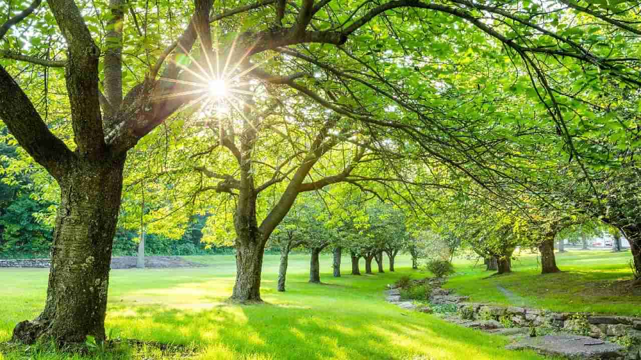 Karnataka Weather: ಕರ್ನಾಟಕದ ಈ ಜಿಲ್ಲೆಗಳಲ್ಲಿ ವಾರಾಂತ್ಯದಲ್ಲಿ ಹೆಚ್ಚಲಿದೆ ಬಿಸಿಲ ಝಳ