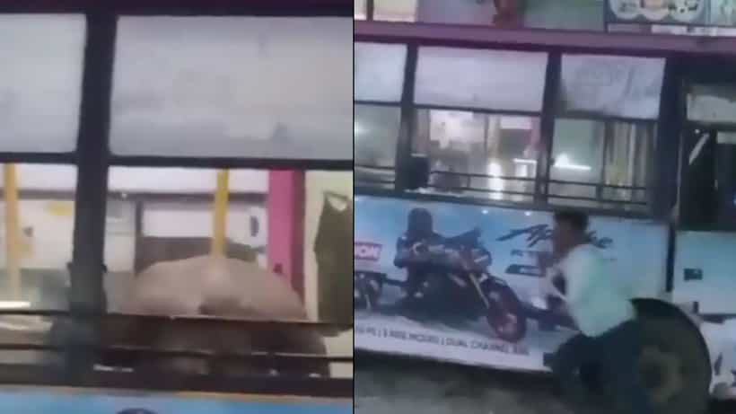 Viral: ಬಸ್ಸಿನೊಳಗೆ ನುಗ್ಗಿ ಅವಾಂತರ ಸೃಷ್ಟಿಸಿದ ಗೂಳಿ; ಎದ್ನೋ ಬಿದ್ನೋ ಅಂತ ಓಡಿ ಹೋದ ಡ್ರೈವರ್-ಕಂಡಕ್ಟರ್
