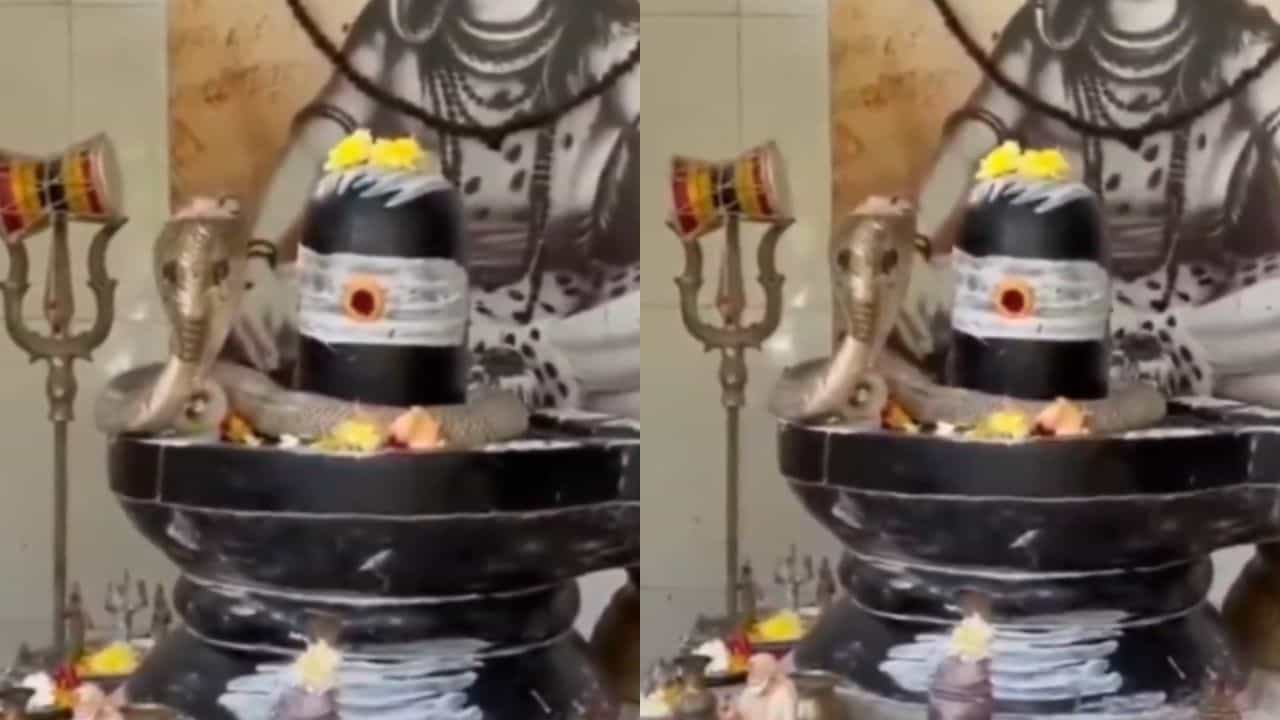Viral: ಶಿವಲಿಂಗದ ಮೇಲೆ ಹೆಡೆ ಎತ್ತಿ ಕುಳಿತ ನಾಗರಹಾವು; ವಿಡಿಯೋ ವೈರಲ್ Viral: ಶಿವಲಿಂಗದ ಮೇಲೆ ಹೆಡೆ ಎತ್ತಿ ಕುಳಿತ ನಾಗರಹಾವು; ವಿಡಿಯೋ ವೈರಲ್