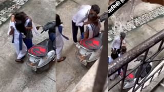 Viral: ರಾಜ ಗಾಂಭೀರ್ಯದಿಂದ ಹೆದ್ದಾರಿ ದಾಟಿದ ಕಾಡಿನ ರಾಜ; ವಿಡಿಯೋ ವೈರಲ್