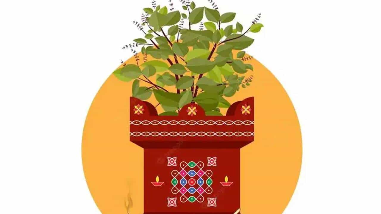 Vijaya Ekadashi 2025: ವಿಜಯ ಏಕಾದಶಿಯಂದು ತುಳಸಿಯನ್ನು ಪೂಜಿಸಿ, ನಿಮ್ಮ ಎಲ್ಲಾ ಆಸೆಗಳು ಈಡೇರುತ್ತವೆ!