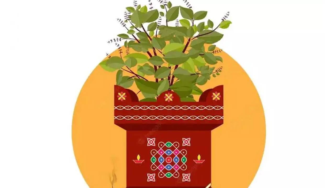 Vijaya Ekadashi 2025: ವಿಜಯ ಏಕಾದಶಿಯಂದು ತುಳಸಿಯನ್ನು ಪೂಜಿಸಿ, ನಿಮ್ಮ ಎಲ್ಲಾ ಆಸೆಗಳು ಈಡೇರುತ್ತವೆ! Vijaya Ekadashi 2025: ವಿಜಯ ಏಕಾದಶಿಯಂದು ತುಳಸಿಯನ್ನು ಪೂಜಿಸಿ, ನಿಮ್ಮ ಎಲ್ಲಾ ಆಸೆಗಳು ಈಡೇರುತ್ತವೆ!