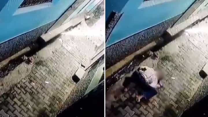 Viral Video: ದರೋಡೆಗೆ ಹೋದಾಗ ಮಾಲೀಕ ಎದ್ದಿದ್ದನ್ನು ನೋಡಿ ಟೆರೇಸ್ನಿಂದ ಬಿದ್ದ ಕಳ್ಳ Viral Video: ದರೋಡೆಗೆ ಹೋದಾಗ ಮಾಲೀಕ ಎದ್ದಿದ್ದನ್ನು ನೋಡಿ ಟೆರೇಸ್ನಿಂದ ಬಿದ್ದ ಕಳ್ಳ