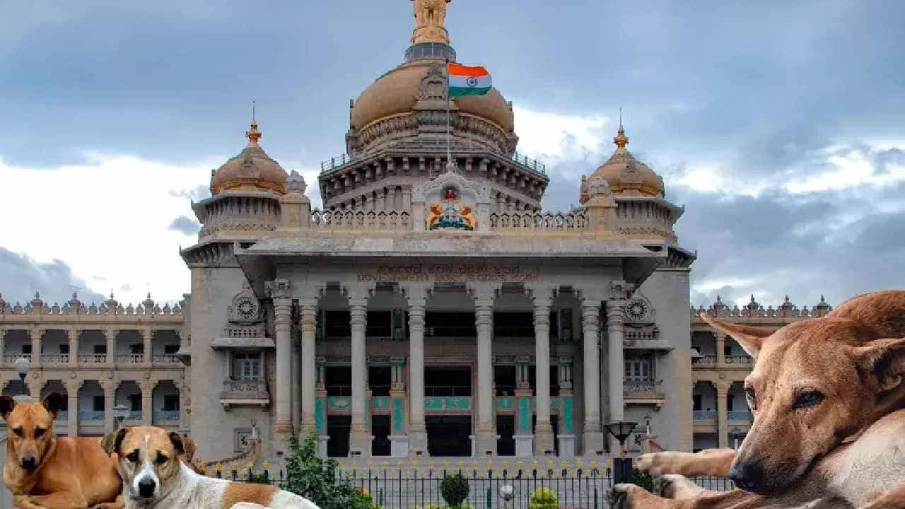 ನಾಯಿಗಳ ಹಾವಳಿ: ವಿಧಾನಸೌಧದೊಳಗೆ ಶ್ವಾನಗಳಿಗೆ ಶೆಲ್ಟರ್, ಇತಿಹಾಸದಲ್ಲೇ ಮೊದಲ