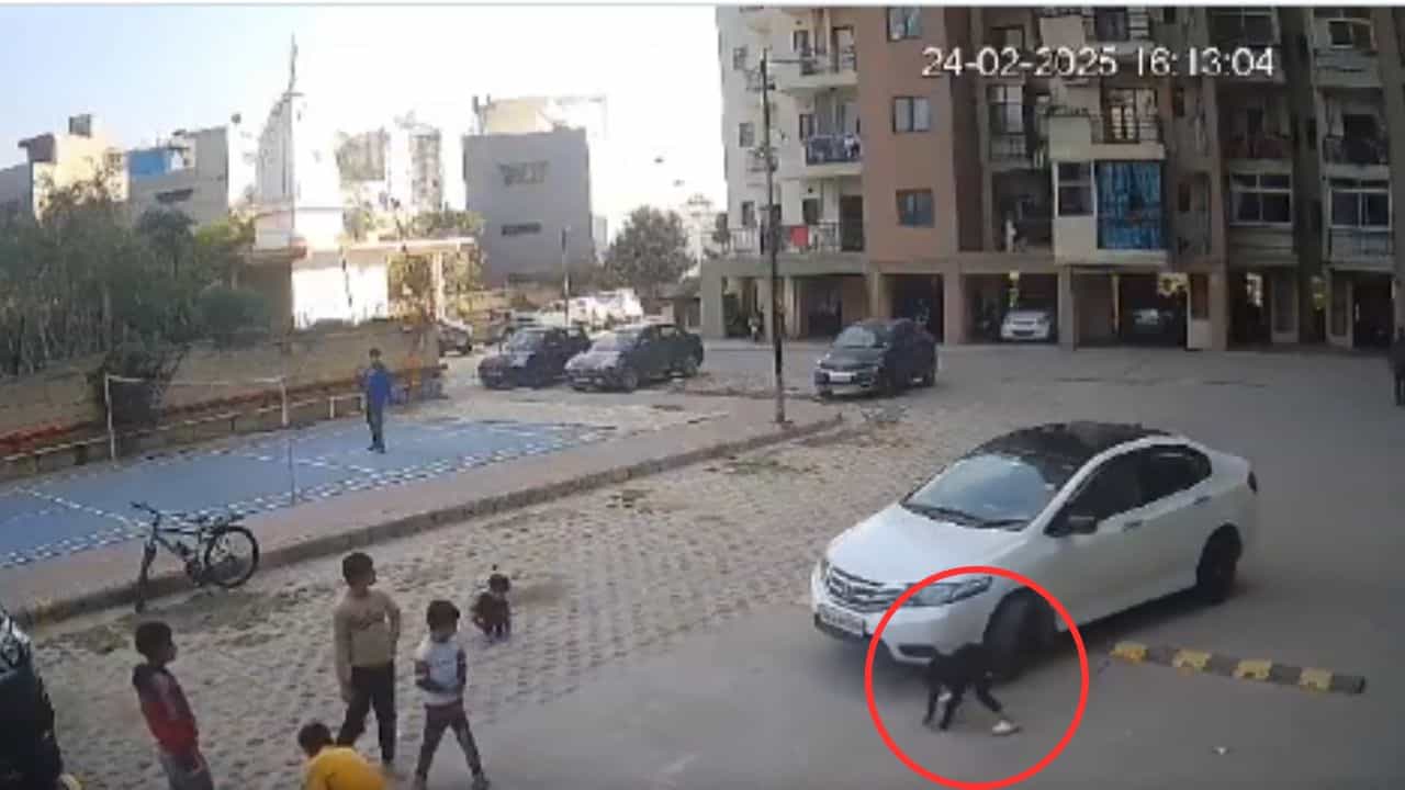 Viral: ಆಟವಾಡುತ್ತಿದ್ದ ಮಗುವಿನ ಮೇಲೆ ಕಾರು ಹರಿಸಿ, ಪರಾರಿಯಾದ ಮಹಿಳೆ; ಸಿಸಿಟಿವಿಯಲ್ಲಿ ಸೆರೆಯಾಯ್ತು ಆಘಾತಕಾರಿ ದೃಶ್ಯ