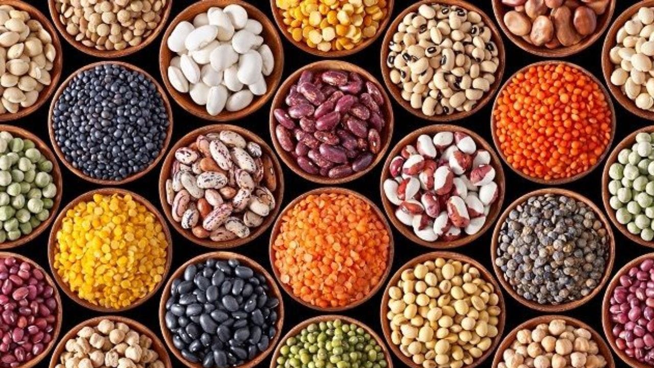 World Pulses Day 2025: ವಿಶ್ವ ದ್ವಿದಳ ಧಾನ್ಯ ದಿನದ ಆಚರಣೆ ಹಿಂದಿನ ಇತಿಹಾಸ ಹಾಗೂ ಮಹತ್ವವೇನು? World Pulses Day 2025: ವಿಶ್ವ ದ್ವಿದಳ ಧಾನ್ಯ ದಿನದ ಆಚರಣೆ ಹಿಂದಿನ ಇತಿಹಾಸ ಹಾಗೂ ಮಹತ್ವವೇನು?