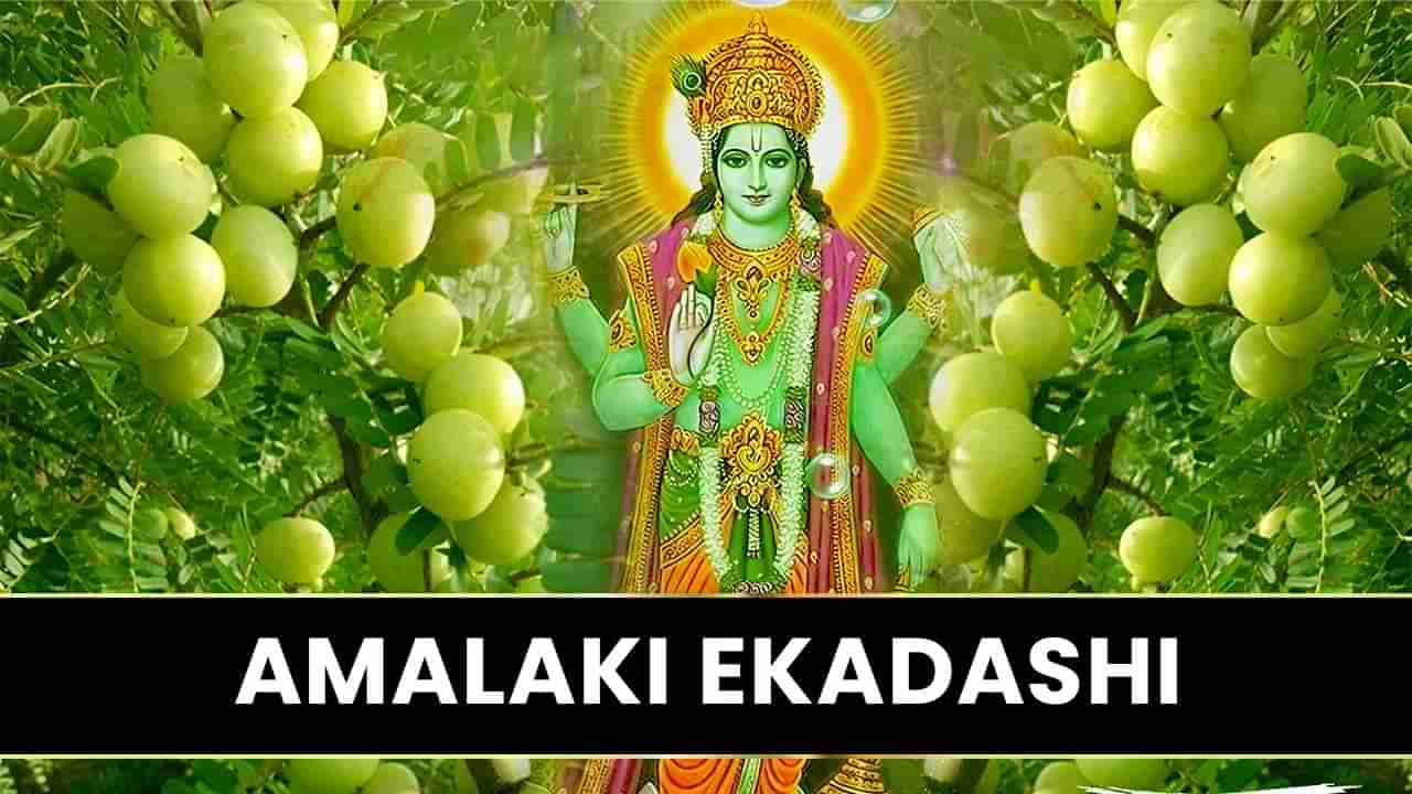Amalaki Ekadashi 2025: ಮಾ.10 ಅಮಲಕಿ ಏಕಾದಶಿ; ಈ ದಿನ ಈ ತಪ್ಪುಗಳನ್ನು ಮಾಡಬೇಡಿ