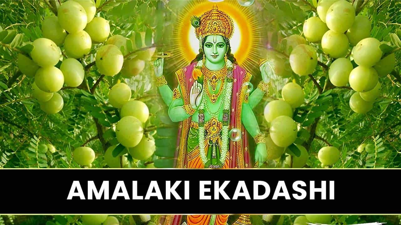 Amalaki Ekadashi 2025: ಮಾ.10 ಅಮಲಕಿ ಏಕಾದಶಿ; ಈ ದಿನ ಈ ತಪ್ಪುಗಳನ್ನು ಮಾಡಬೇಡಿ Amalaki Ekadashi 2025: ಮಾ.10 ಅಮಲಕಿ ಏಕಾದಶಿ; ಈ ದಿನ ಈ ತಪ್ಪುಗಳನ್ನು ಮಾಡಬೇಡಿ