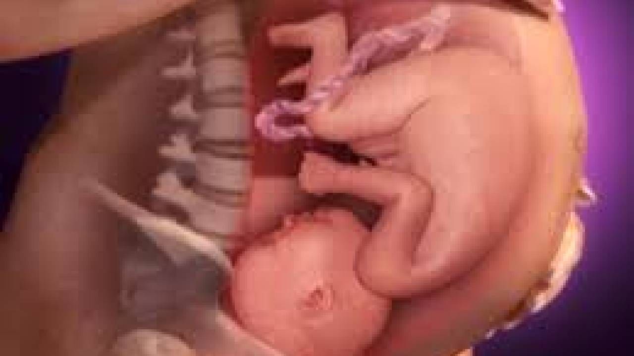 8 ತಿಂಗಳ ಗರ್ಭಿಣಿಯ ಗರ್ಭಪಾತಕ್ಕೆ ಬಾಂಬೆ ಹೈಕೋರ್ಟ್ ಒಪ್ಪಿಗೆ, ಕಾರಣವೇನು? 8 ತಿಂಗಳ ಗರ್ಭಿಣಿಯ ಗರ್ಭಪಾತಕ್ಕೆ ಬಾಂಬೆ ಹೈಕೋರ್ಟ್ ಒಪ್ಪಿಗೆ, ಕಾರಣವೇನು?