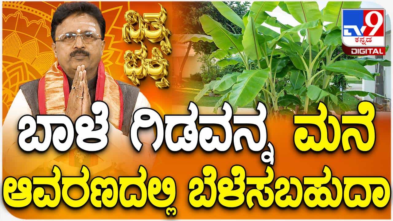 Daily Devotional: ಬಾಳೆ ಗಿಡವನ್ನ ಮನೆ ಆವರಣದಲ್ಲಿ ಬೆಳೆಸಬಹುದಾ Daily Devotional: ಬಾಳೆ ಗಿಡವನ್ನ ಮನೆ ಆವರಣದಲ್ಲಿ ಬೆಳೆಸಬಹುದಾ
