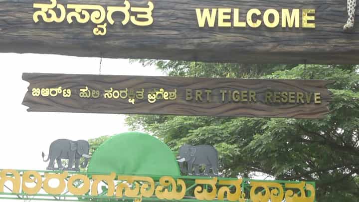 ಬಂಡೀಪುರ ರಾಷ್ಟ್ರೀಯ ಉದ್ಯಾನವನದಲ್ಲಿನ ನೀರಿನ ಸಮಸ್ಯೆಗೆ ಬಿತ್ತು ಬ್ರೇಕ್ ಬಂಡೀಪುರ ರಾಷ್ಟ್ರೀಯ ಉದ್ಯಾನವನದಲ್ಲಿನ ನೀರಿನ ಸಮಸ್ಯೆಗೆ ಬಿತ್ತು ಬ್ರೇಕ್
