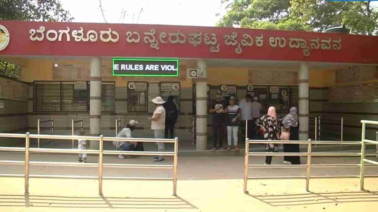 ಬನ್ನೇರುಘಟ್ಟ ಉದ್ಯಾನವನದಲ್ಲಿ 3 ತಿಂಗಳಲ್ಲಿ ಹುಲಿ, ಚಿರತೆ ಸೇರಿ 20ಕ್ಕೂ ಅಧಿಕ ವನ್ಯಜೀವಿಗಳು ಸಾವು