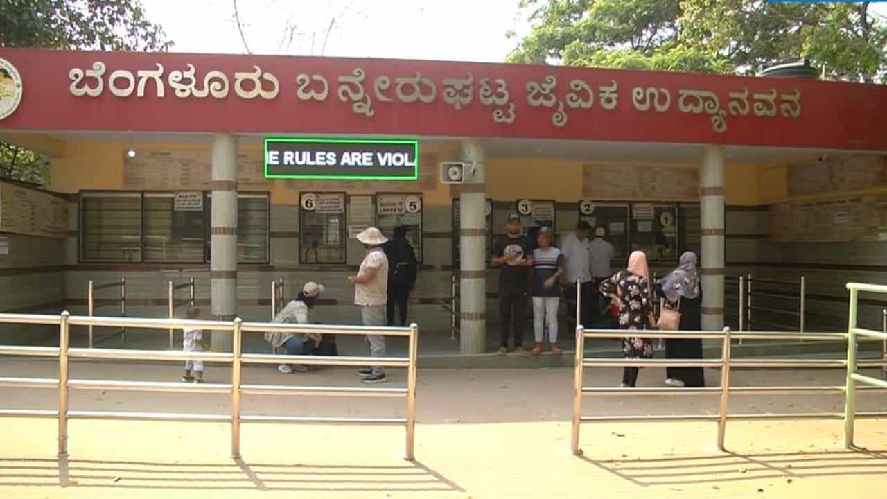 ಬನ್ನೇರುಘಟ್ಟ ಉದ್ಯಾನವನದಲ್ಲಿ 3 ತಿಂಗಳಲ್ಲಿ ಹುಲಿ, ಚಿರತೆ ಸೇರಿ 20ಕ್ಕೂ ಅಧಿಕ ವನ್ಯಜೀವಿಗಳು ಸಾವು