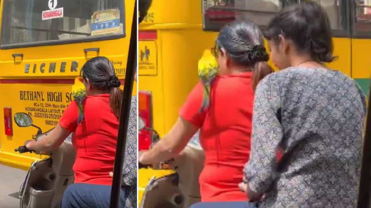 Viral: ಗೆಳತಿಯರೊಂದಿಗೆ ಸ್ಕೂಟಿಯಲ್ಲಿ ಬೆಂಗಳೂರು ಸುತ್ತಿದ ಗಿಳಿರಾಯ; ವಿಡಿಯೋ ವೈರಲ್‌
