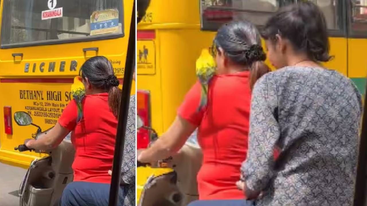 Viral: ಗೆಳತಿಯರೊಂದಿಗೆ ಸ್ಕೂಟಿಯಲ್ಲಿ ಬೆಂಗಳೂರು ಸುತ್ತಿದ ಗಿಳಿರಾಯ; ವಿಡಿಯೋ ವೈರಲ್