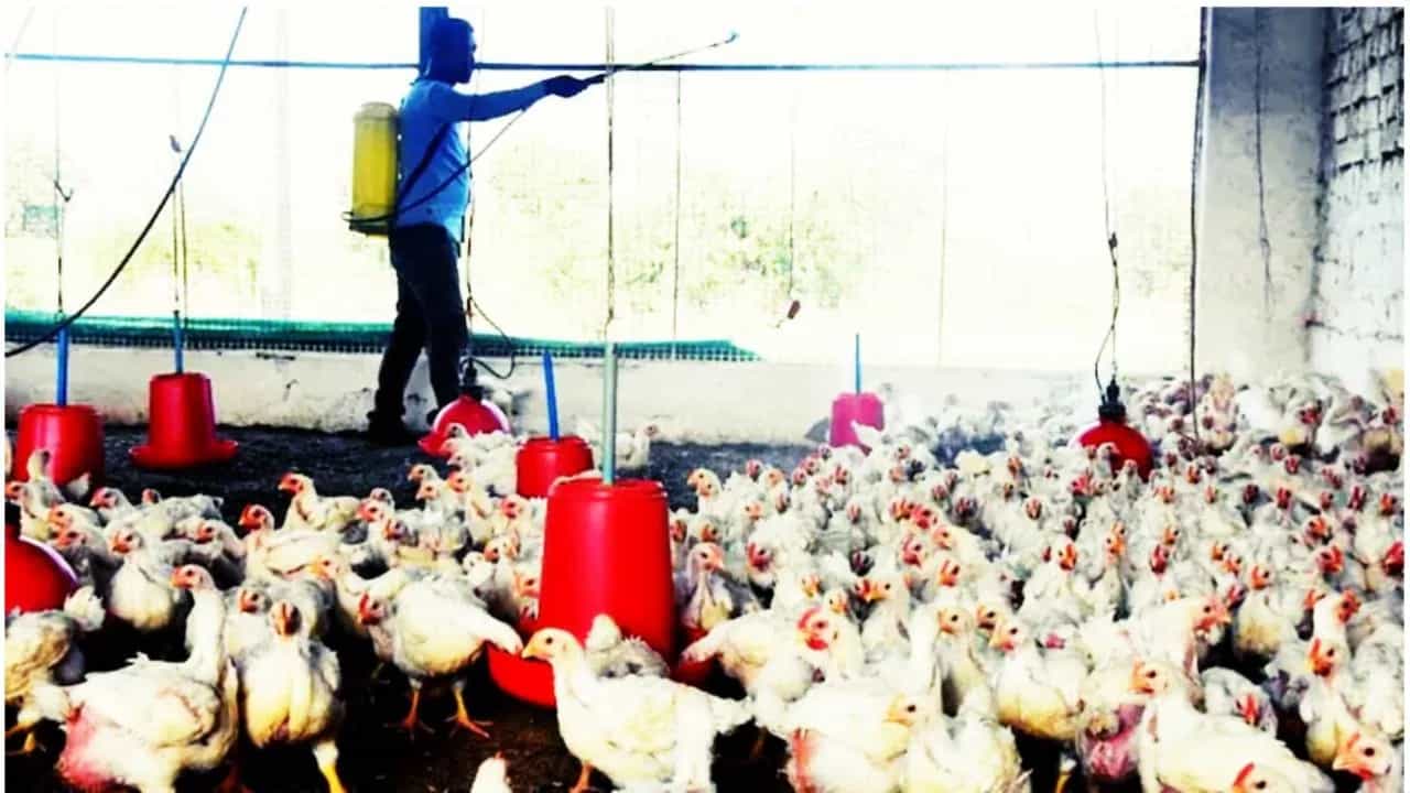 ಹಕ್ಕಿಜ್ವರ: ಆರೋಗ್ಯ ಇಲಾಖೆ ಹೈ ಅಲರ್ಟ್, ಎಲ್ಲ ಸರ್ಕಾರಿ ಆಸ್ಪತ್ರೆಗಳಲ್ಲಿ ಸಿದ್ಧತೆಗೆ ಸೂಚನೆ ಹಕ್ಕಿಜ್ವರ: ಆರೋಗ್ಯ ಇಲಾಖೆ ಹೈ ಅಲರ್ಟ್, ಎಲ್ಲ ಸರ್ಕಾರಿ ಆಸ್ಪತ್ರೆಗಳಲ್ಲಿ ಸಿದ್ಧತೆಗೆ ಸೂಚನೆ