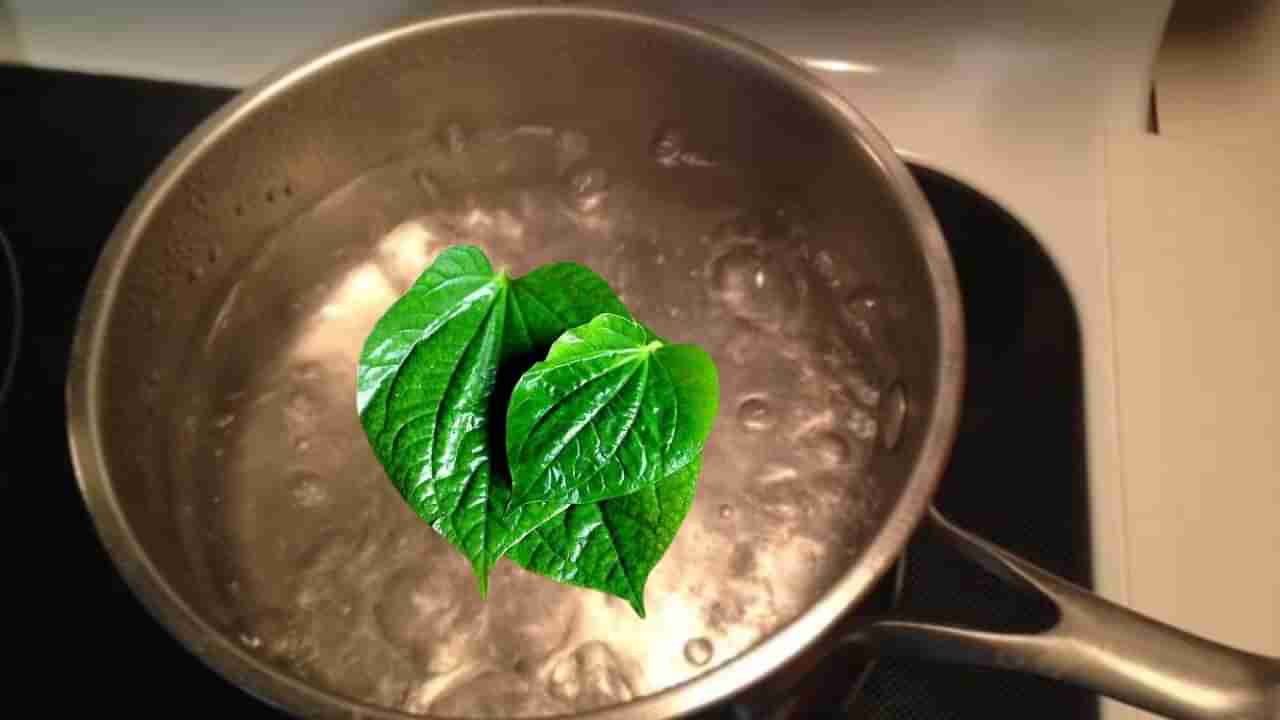 ವೀಳ್ಯದೆಲೆಯನ್ನು ನೀರಿನಲ್ಲಿ ಕುದಿಸಿ ಕುಡಿಯಿರಿ, ಚರ್ಮದಲ್ಲಿ ಈ ಬದಲಾವಣೆ ಖಂಡಿತ