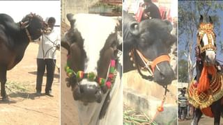 ಸಿಸಿಎಲ್​ನಲ್ಲಿ ರನ್ ಹೊಳೆ ಹರಿಸಿದ ಡಾರ್ಲಿಂಗ್ ಕೃಷ್ಣಗೆ ವಿಶೇಷ ಗೌರವ