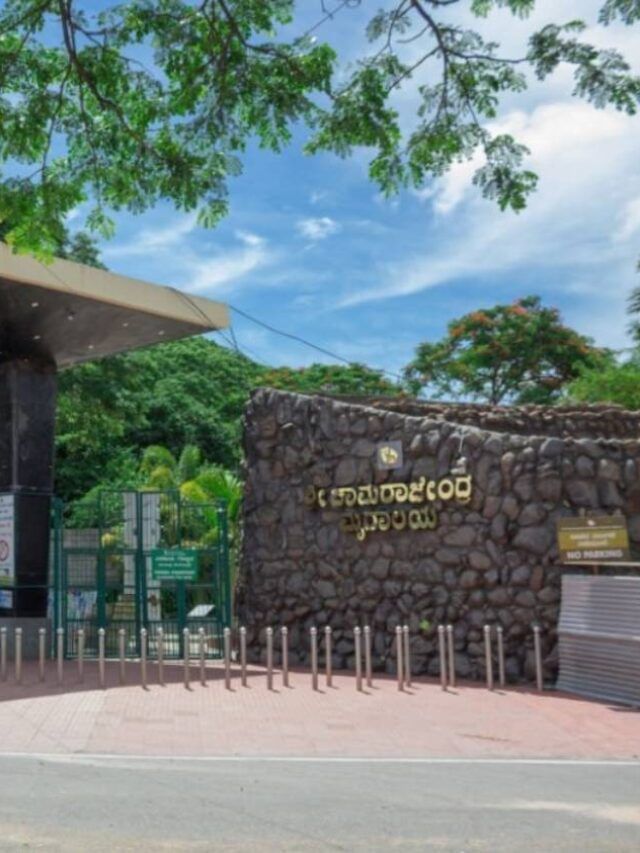 ಮೈಸೂರು ಚಾಮರಾಜೇಂದ್ರ ಮೃಗಾಲಯದ ವಾರದ ರಜೆ ರದ್ದು