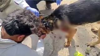 ಬಿಹಾರ: ಮನೆ ಕಟ್ಟಲು  ಪ್ರಿಯಕರನ ಜತೆ ಸೇರಿ ಸ್ವಂತ ಮಗನನ್ನೇ ಅಪಹರಿಸಿ ಹಣಕ್ಕೆ ಬೇಡಿಕೆ ಇಟ್ಟ ಮಹಿಳೆ