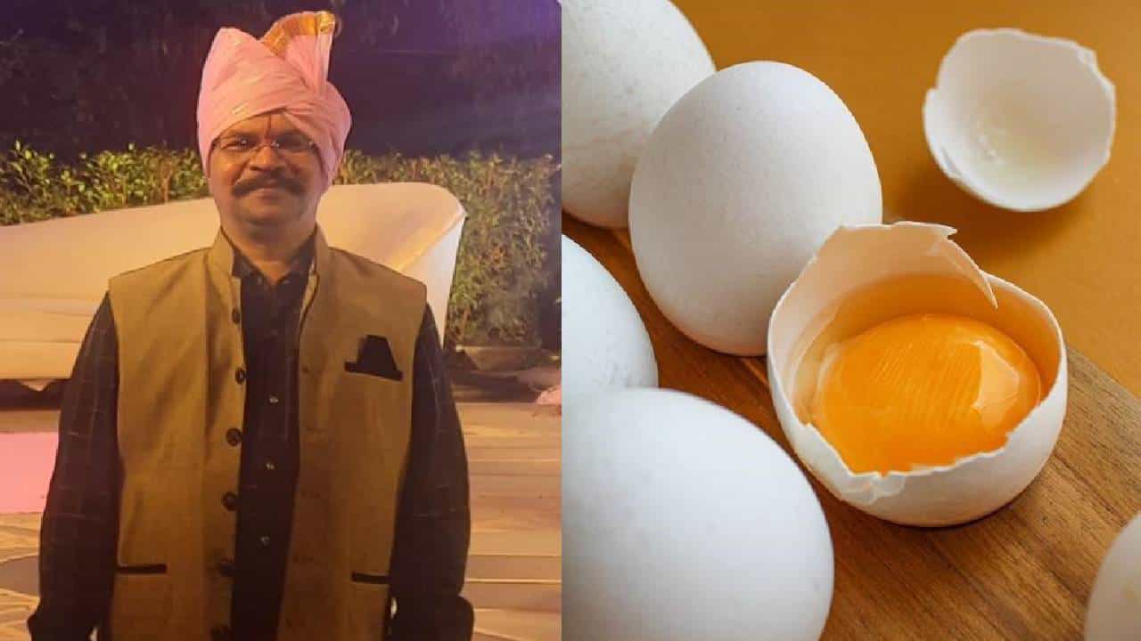 Eggshell Calcium: ಮೊಟ್ಟೆಯ ಸಿಪ್ಪೆಯನ್ನು ಎಸೆಯಬೇಡಿ! ಪ್ರಯೋಜನ ಸಾಕಷ್ಟಿವೆ Eggshell Calcium: ಮೊಟ್ಟೆಯ ಸಿಪ್ಪೆಯನ್ನು ಎಸೆಯಬೇಡಿ! ಪ್ರಯೋಜನ ಸಾಕಷ್ಟಿವೆ