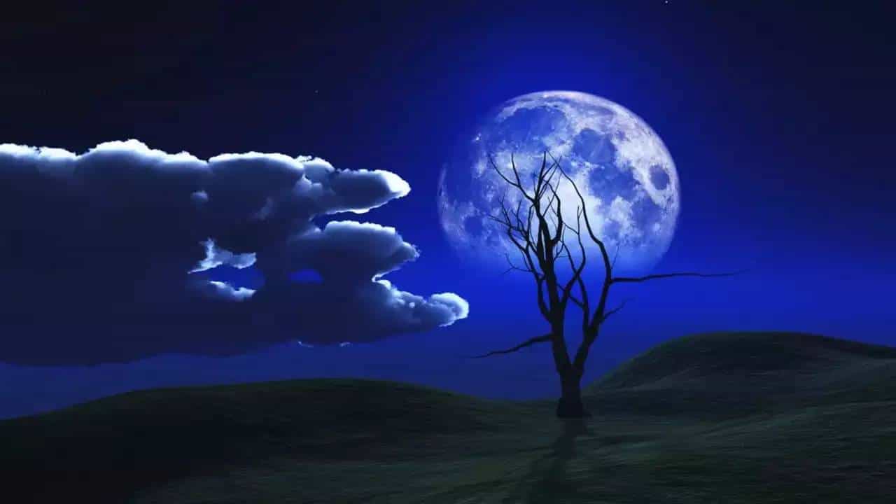 Falgun Purnima 2025: ಫಾಲ್ಗುಣ ಪೂರ್ಣಿಮೆ ಯಾವಾಗ? ದಿನಾಂಕ, ಶುಭ ಸಮಯ ಮತ್ತು ಪೂಜಾ ವಿಧಾನ ತಿಳಿದುಕೊಳ್ಳಿ