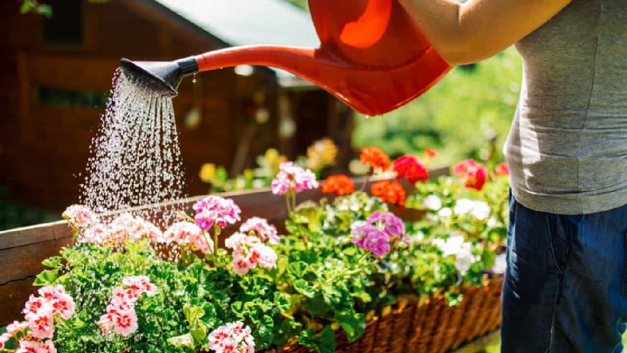 Summer Gardening Tips : ಸುಡುವ ಬಿಸಿಲಿಗೆ ಹೂವಿನ ಗಿಡಗಳು ಒಣಗದಂತೆ ತಡೆಯುವುದು ಹೇಗೆ? ಇಲ್ಲಿದೆ ಸಿಂಪಲ್ ಟಿಪ್ಸ್