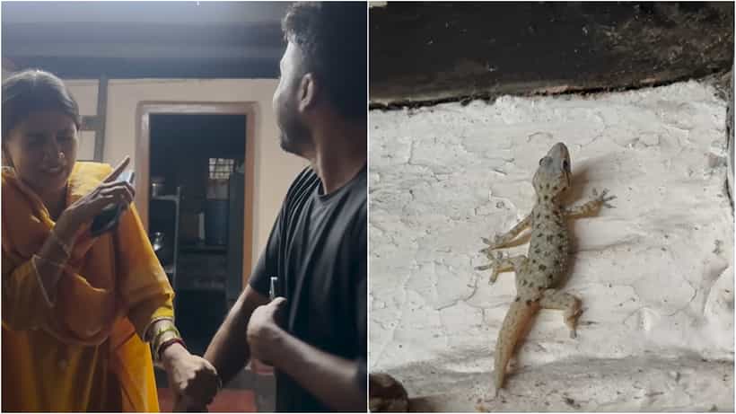 Gouthami Jadav: ದಂಡಿಗೆ ಹೆದರಲಿಲ್ಲ, ದಾಳಿಗೆ ಹೆದರಲಿಲ್ಲ, ಹಲ್ಲಿಗೆ ಹೆದರೋದಾ; ಪಾಪ ಗೌತಮಿ ಸ್ಥಿತಿ ನೋಡಿ