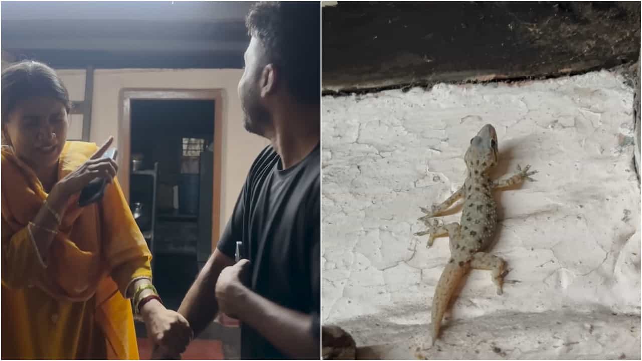 Gouthami Jadav: ದಂಡಿಗೆ ಹೆದರಲಿಲ್ಲ, ದಾಳಿಗೆ ಹೆದರಲಿಲ್ಲ, ಹಲ್ಲಿಗೆ ಹೆದರೋದಾ; ಪಾಪ ಗೌತಮಿ ಸ್ಥಿತಿ ನೋಡಿ Gouthami Jadav: ದಂಡಿಗೆ ಹೆದರಲಿಲ್ಲ, ದಾಳಿಗೆ ಹೆದರಲಿಲ್ಲ, ಹಲ್ಲಿಗೆ ಹೆದರೋದಾ; ಪಾಪ ಗೌತಮಿ ಸ್ಥಿತಿ ನೋಡಿ