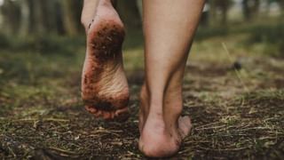 International Day of Forests 2025: ಅರಣ್ಯ ಸಂಪತ್ತಿನ ರಕ್ಷಣೆ ನಮ್ಮೆಲ್ಲರ ಹೊಣೆ