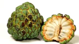 Health Tips: ಅಂಗಡಿಯಿಂದ ಪನೀರ್​ ಖರೀದಿಸುವಾಗ ಗಮನಿಸಬೇಕಾದ ಅಂಶಗಳಿವು