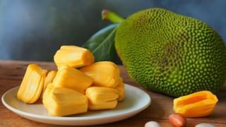 Foods to Avoid in Summer: ಬೇಸಿಗೆಯಲ್ಲಿ ಈ ಆಹಾರ ಸೇವನೆ ತಪ್ಪಿಸಿ! ಆರೋಗ್ಯ ಚೆನ್ನಾಗಿರುತ್ತೆ