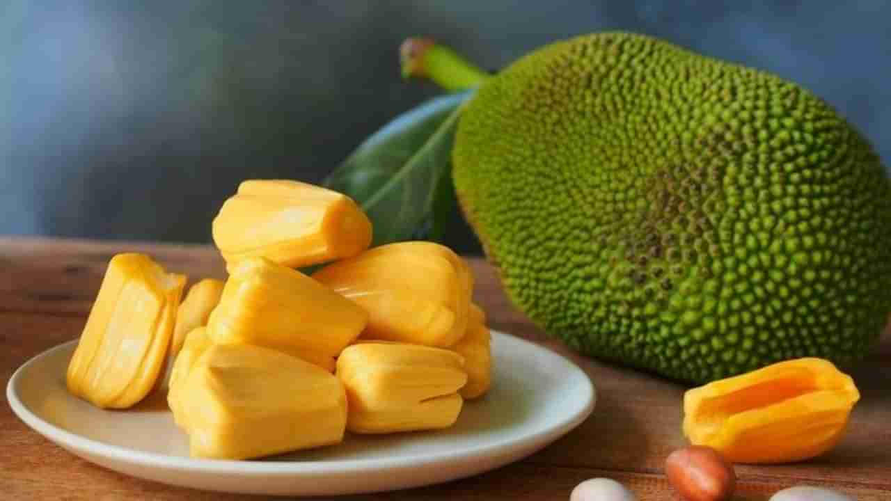 ಯಾವುದೇ ಕಾರಣಕ್ಕೂ ಹಲಸಿನ ಹಣ್ಣನ್ನು ಈ ರೀತಿಯ ಆರೋಗ್ಯ ಸಮಸ್ಯೆ ಇರುವವರು ತಿನ್ನಬಾರದು