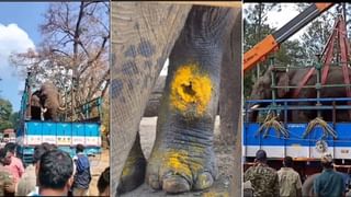 ತೇಜಸ್ವಿ ಸೂರ್ಯ ಮದುವೆ: ಗಾಯಕಿ ಶಿವಶ್ರೀ ಸ್ಕಂದ ಪ್ರಸಾದ್ ಜತೆ ದಾಂಪತ್ಯಕ್ಕೆ ಕಾಲಿಟ್ಟ ಸೂರ್ಯ, ಇಲ್ಲಿವೆ ಫೊಟೋಸ್