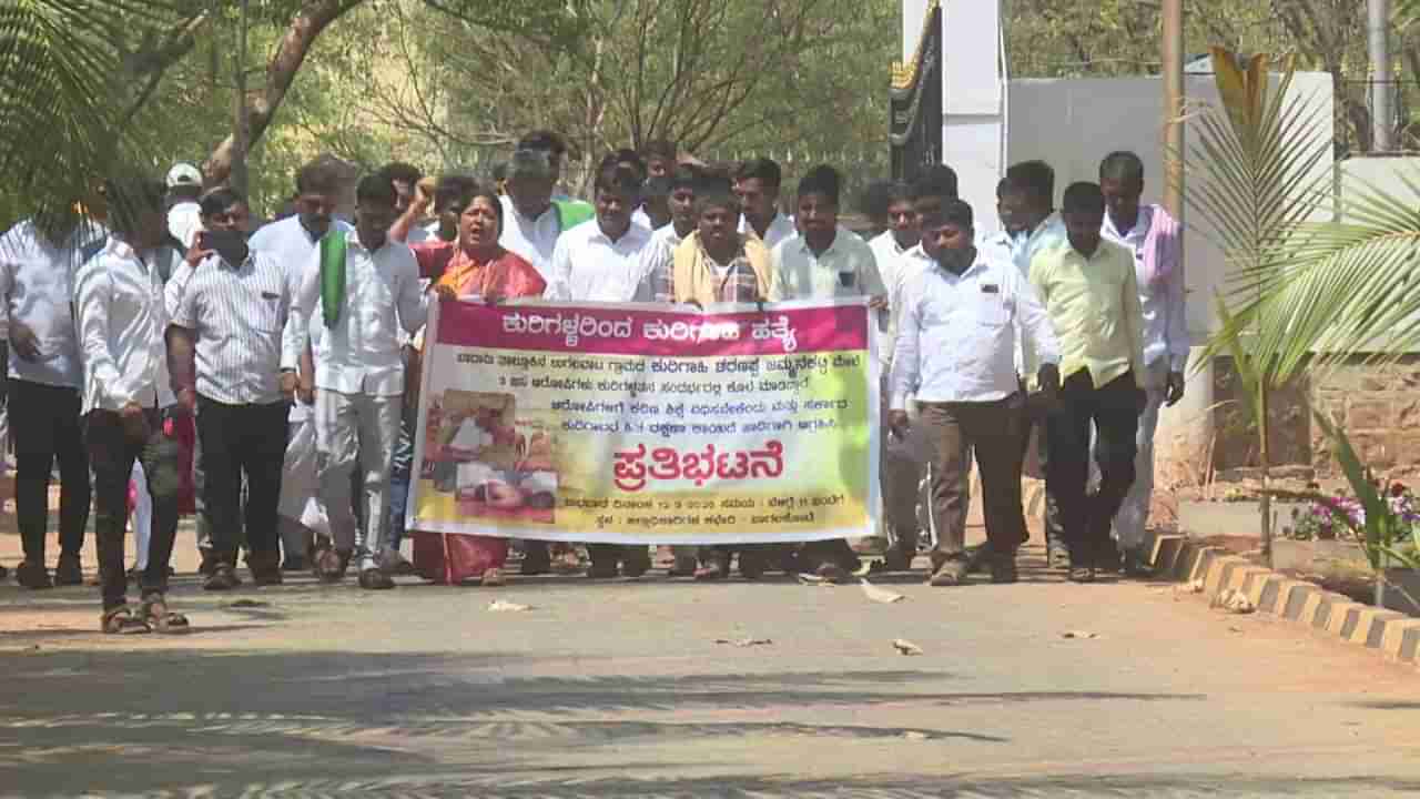 ಬಾಗಲಕೋಟೆ: ಆ ಒಂದು ಕೊಲೆಯಿಂದ ಬಂದೂಕು ತರಬೇತಿ ಪಡೆಯಲು ಮುಂದಾದ ಕುರಿಗಾಹಿಗಳು