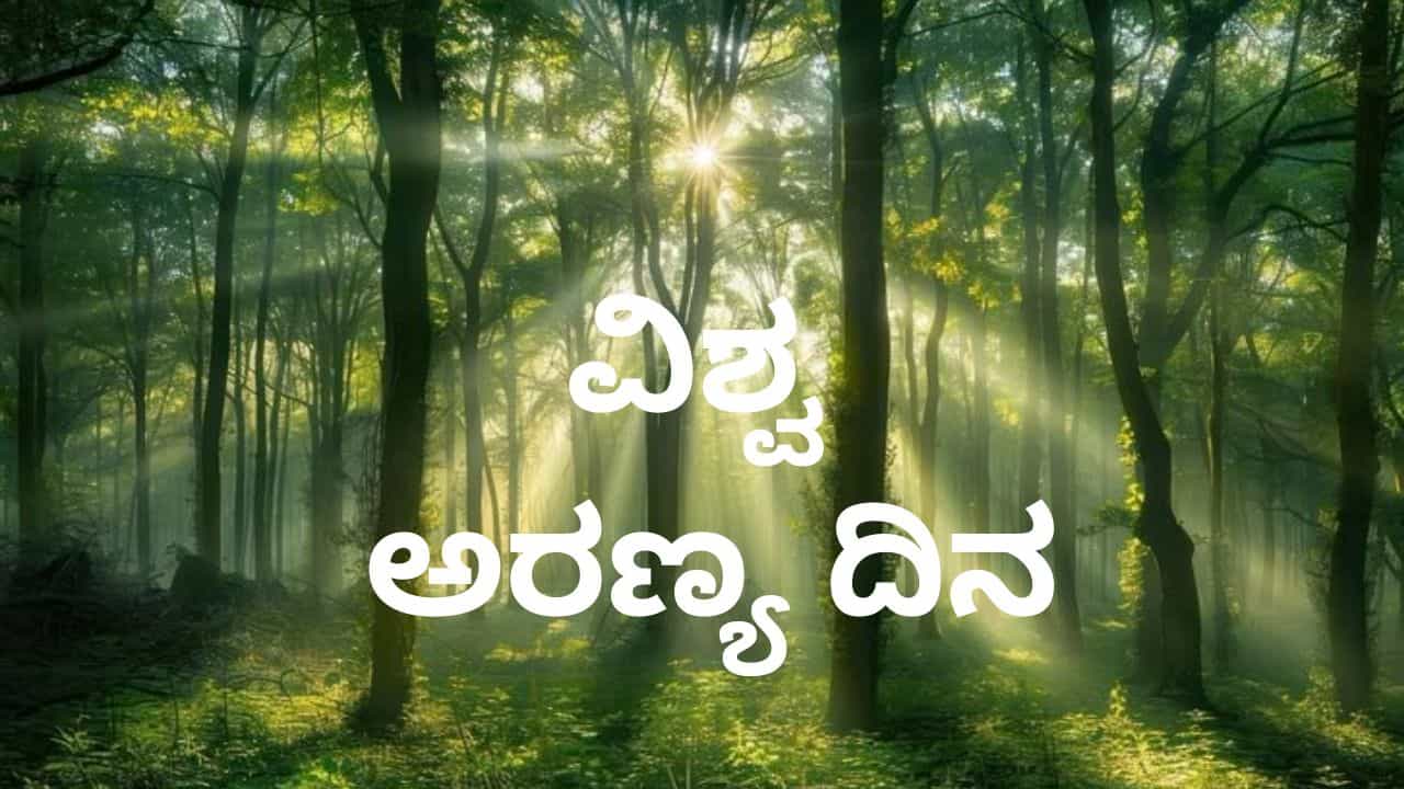 International Day of Forests 2025: ಅರಣ್ಯ ಸಂಪತ್ತಿನ ರಕ್ಷಣೆ ನಮ್ಮೆಲ್ಲರ ಹೊಣೆ
