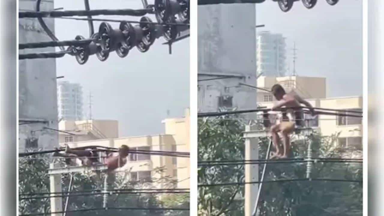 Viral: ಸಾವಿನೊಂದಿಗೆ ಸರಸ; ವಿದ್ಯುತ್‌ ಕಂಬದ ಮೇಲೇರಿ ಸ್ಟಂಟ್​ ಮಾಡಿದ ವ್ಯಕ್ತಿ