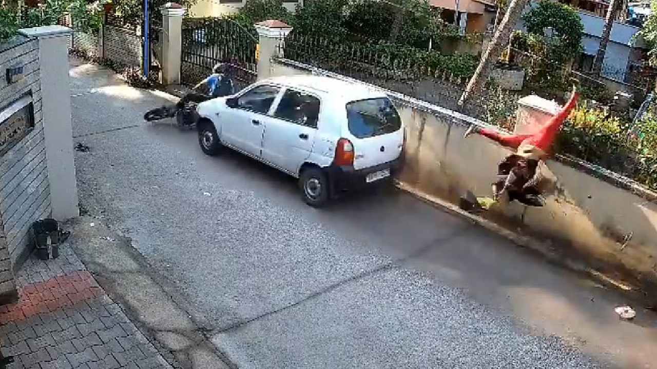 ಎದೆ ಝಲ್​ ಎನ್ನಿಸುವ ದೃಶ್ಯ​​: ಇದು ಅಪಘಾತವಲ್ಲ..ಕೊಲೆಯತ್ನ: ಅಸಲಿಯತ್ತು ಏನು ಗೊತ್ತಾ?